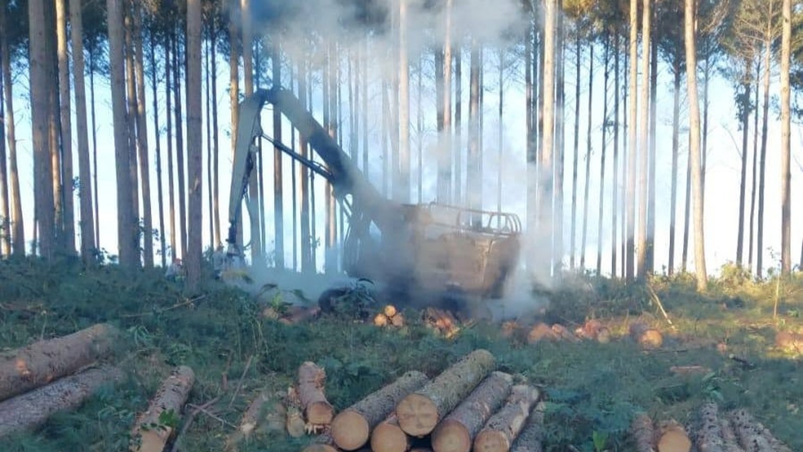 Colheitadeira em lavoura na zona rural de Tapes, no Sul do RS, ao entardecer, fumaça leve ao fundo, sem pessoas — máquina agrícola, Camaquã/Costa Doce