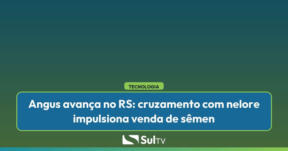 Associação Brasileira de Angus aponta ciclo pecuário favorável, demanda por carne de qualidade e mercado externo como motores do crescimento
