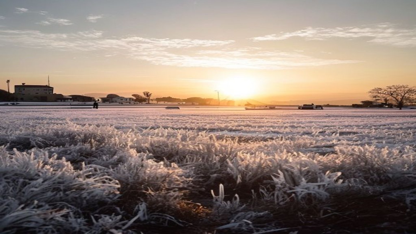 Campo coberto de geada branca ao amanhecer no interior do Rio Grande do Sul, sol baixo no horizonte, sem pessoas — frio, RS