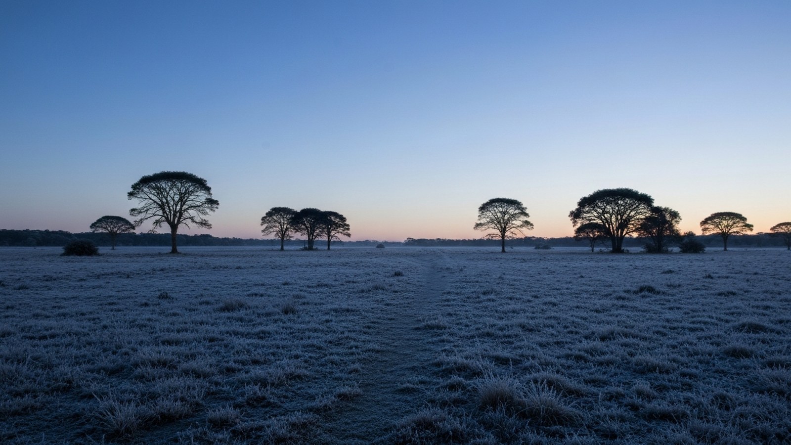 Campo gaúcho com geada ao amanhecer no inverno, paisagem rural sem pessoas — El Niño, RS