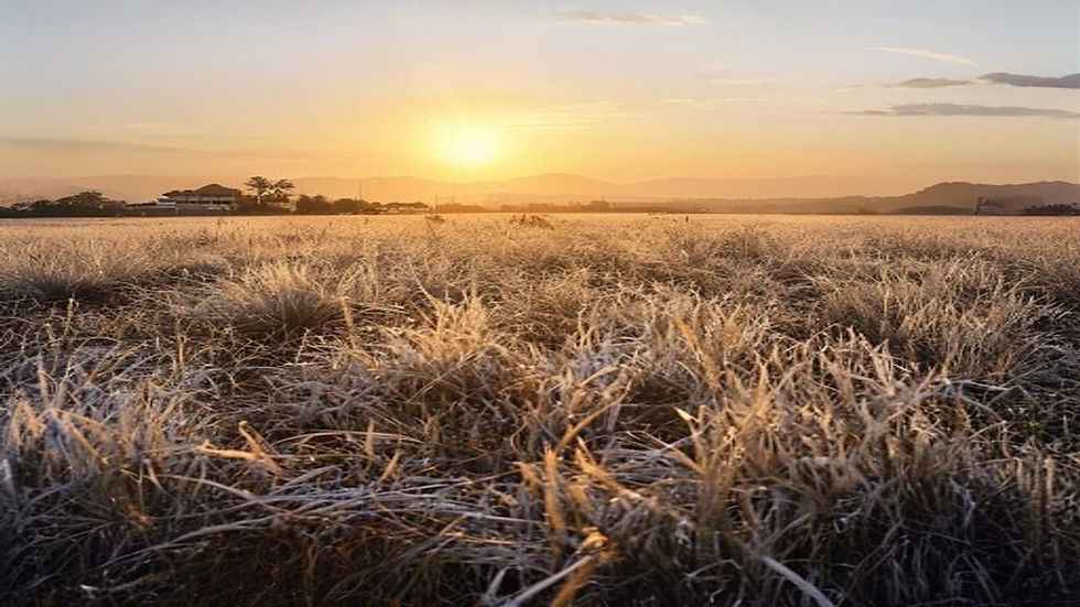 4ºC abaixo de zero no Sul gaúcho