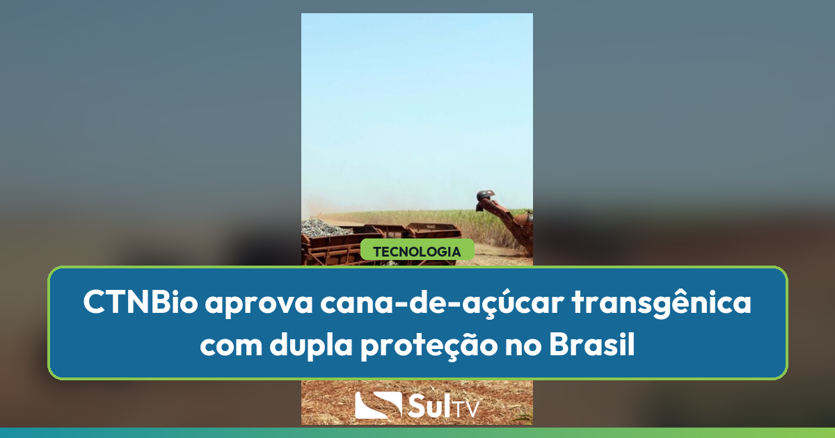 Variedade inédita combina resistência a pragas e tolerância ao glifosato — aprovação abre caminho para ganhos de produtividade na cadeia suc
