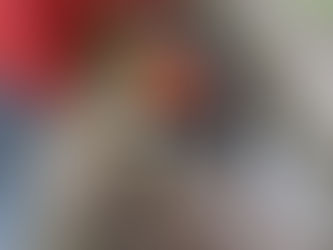 Poda de árvore não pode remover mais de 25% da copa em Arambaré