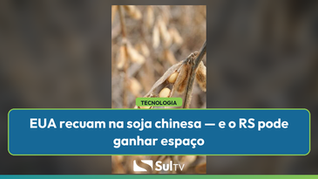 EUA recuam na soja chinesa — e o RS pode ganhar espaço