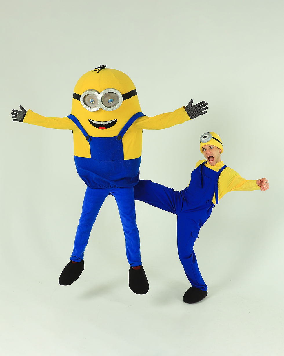 аниматор миньйон одесса