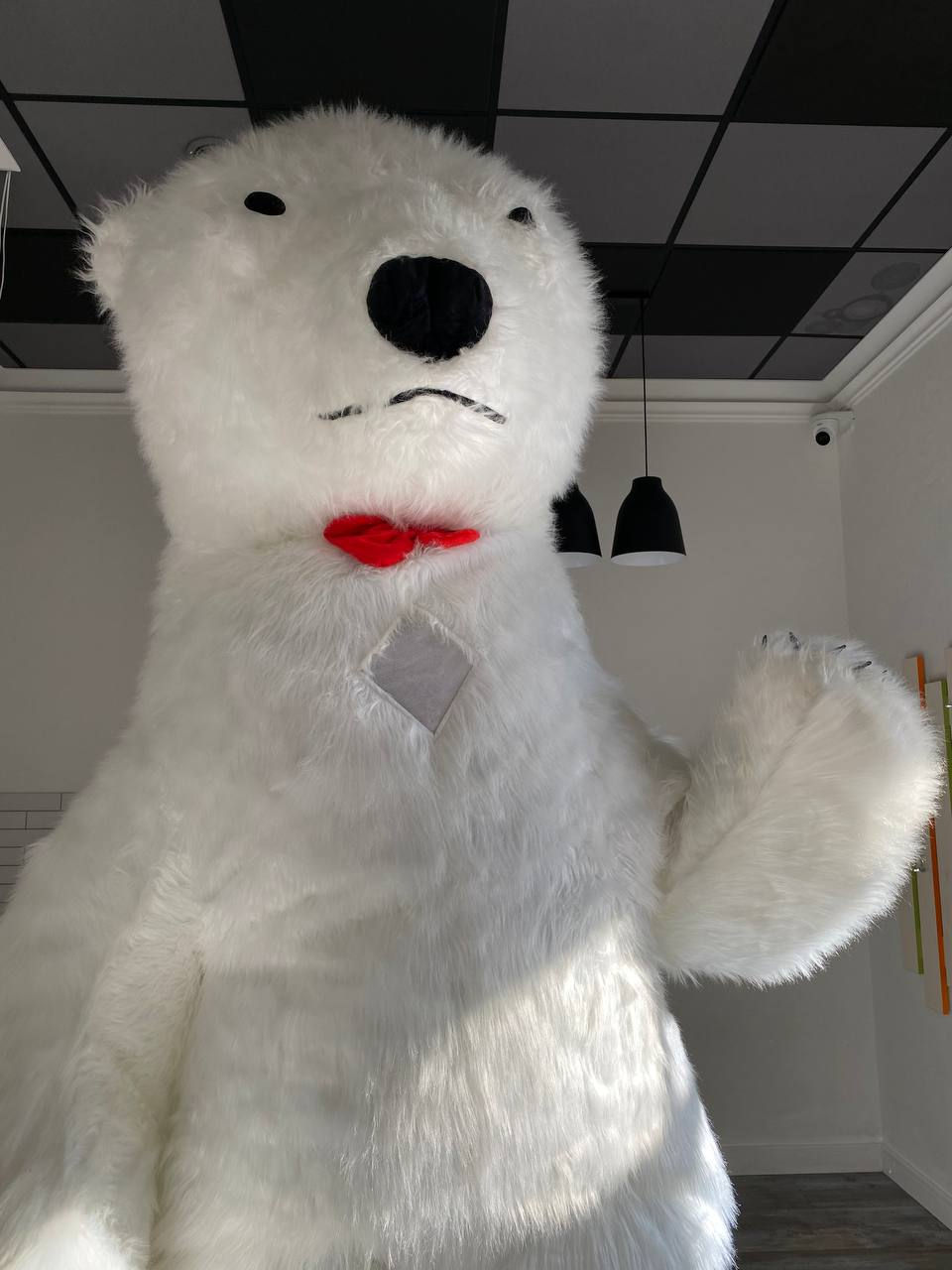 аниматоры белый мишка одесса