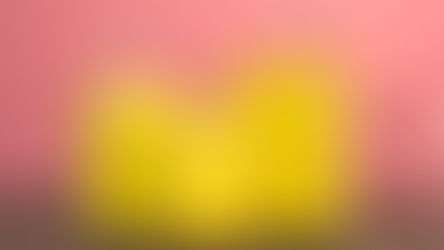 Get to Know Prima's Warranty