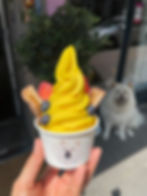 Fruchtsorbet