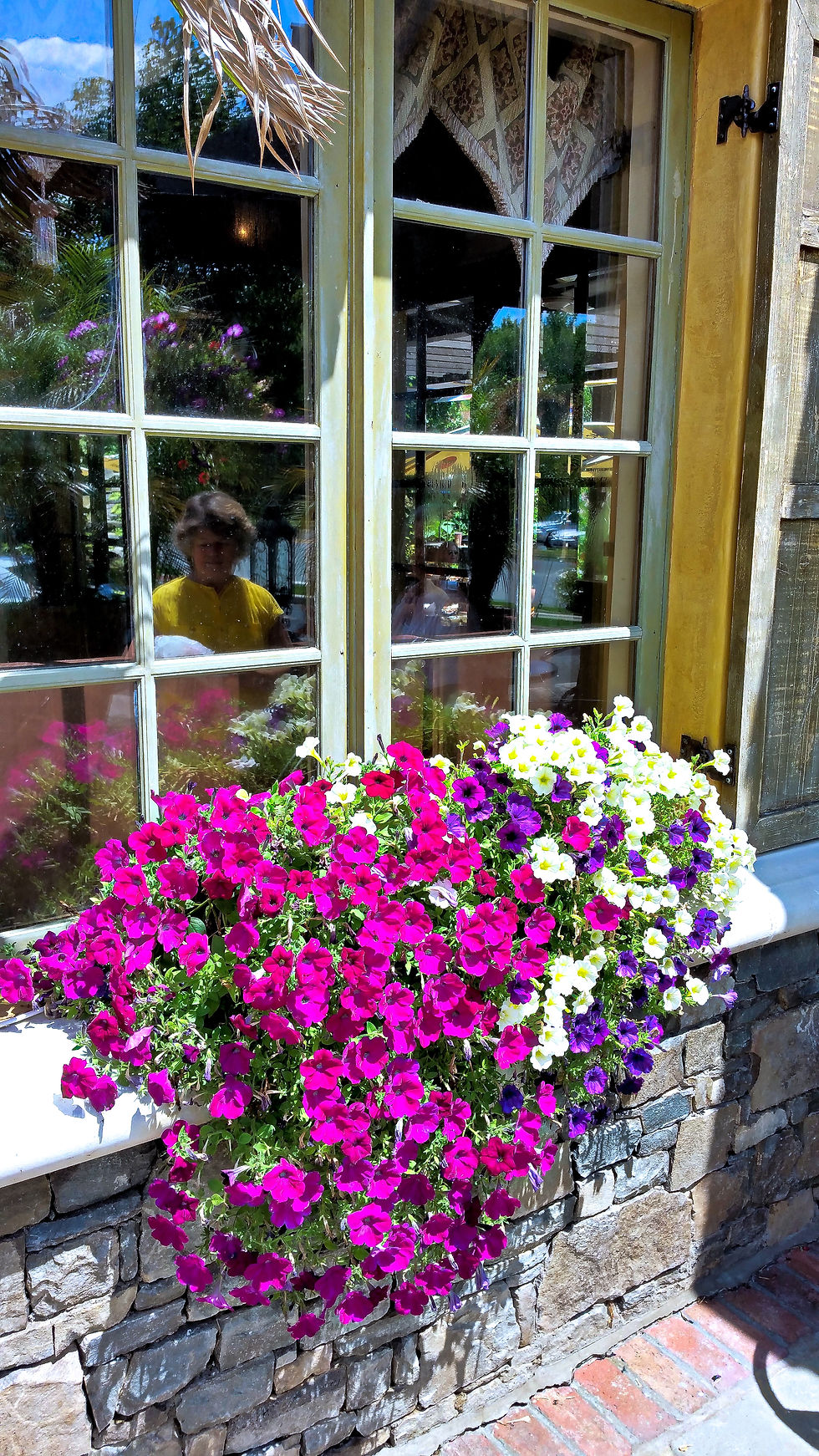 2015-07-24 14.00-1.44.jpg