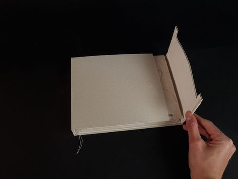 Nesting dust jacket design 1