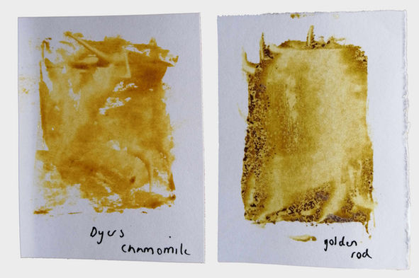 Ink swatches