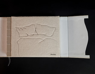Nesting in dust jacket.jpg