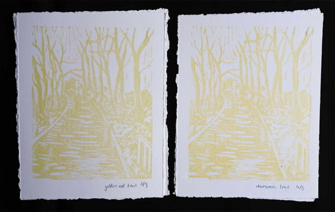 Taff Trail colour comparison