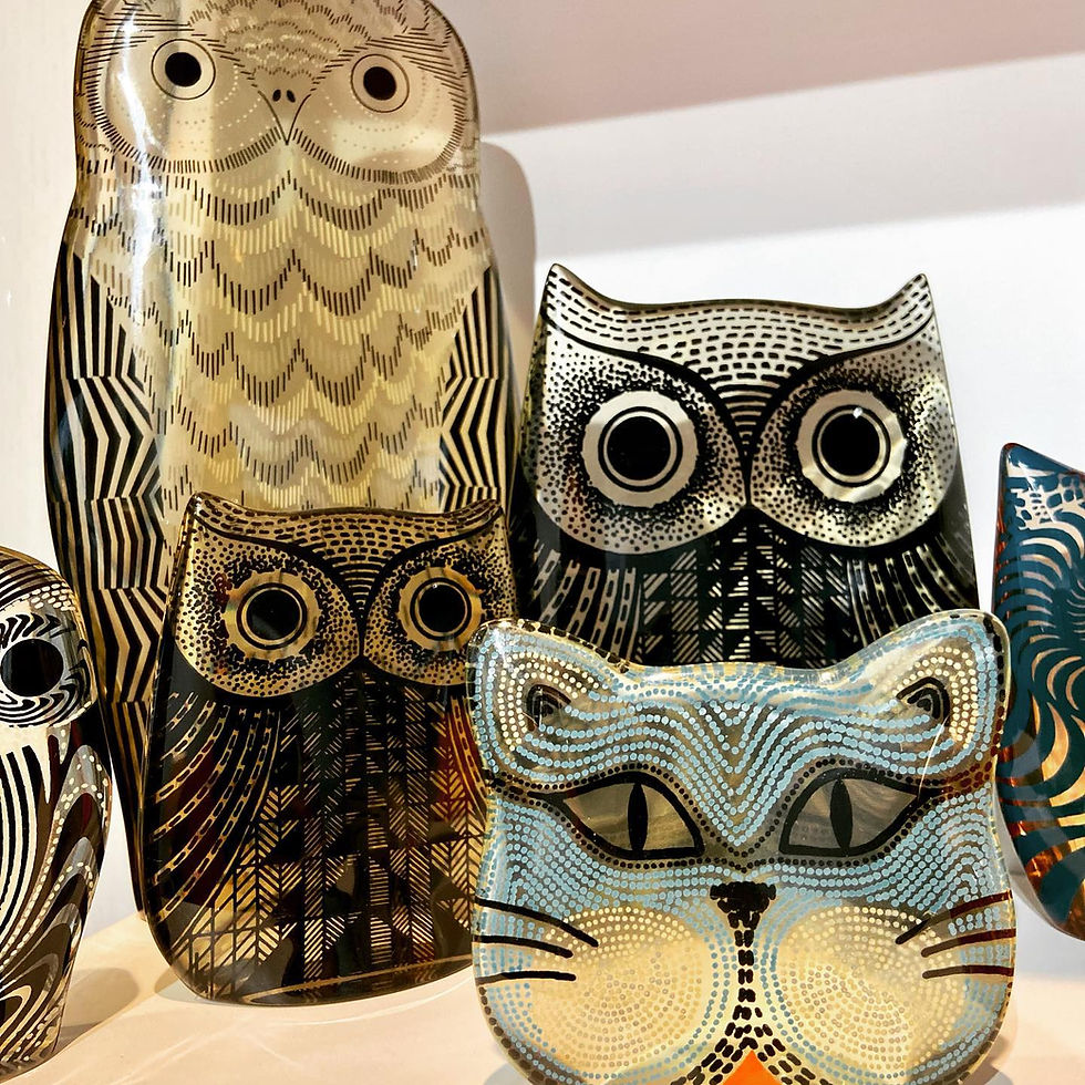 Corujas e gato Palatnik