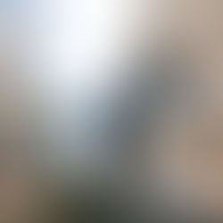 鋁窗維修個案分享-綠悠軒