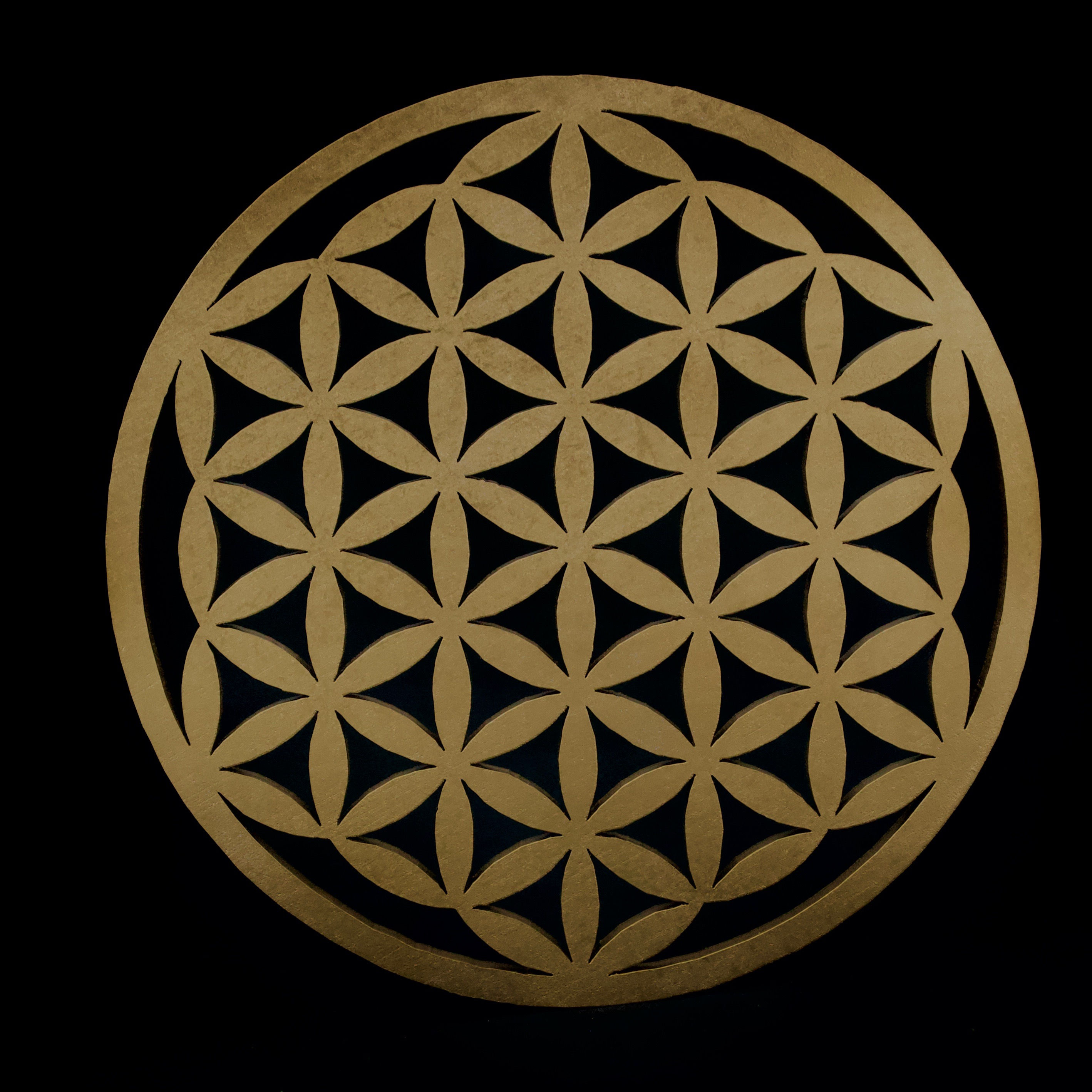 Símbolo " Flor de la Vida "