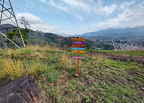 WhatsApp Image 2021-11-17 at 19.58.43.jpeg