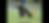 IMG_4783.PNG
