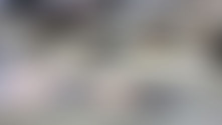 R-EVOLUTION X36 July20 (English)