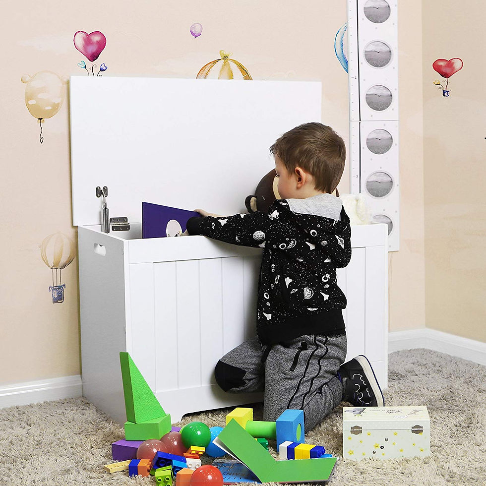 Thumbnail: White Lift Top Entryway Storage Chest/Bench with 2 Safety Hinge, Wooden Toy Box