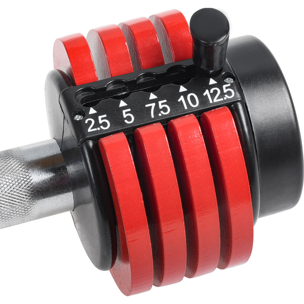 Thumbnail: Pair of 12.5 Lbs Adjustable Dumbbell with Handle and Weight Plate for Home Gym r