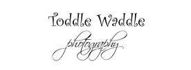 Toddle Waddle_logo_edited.png