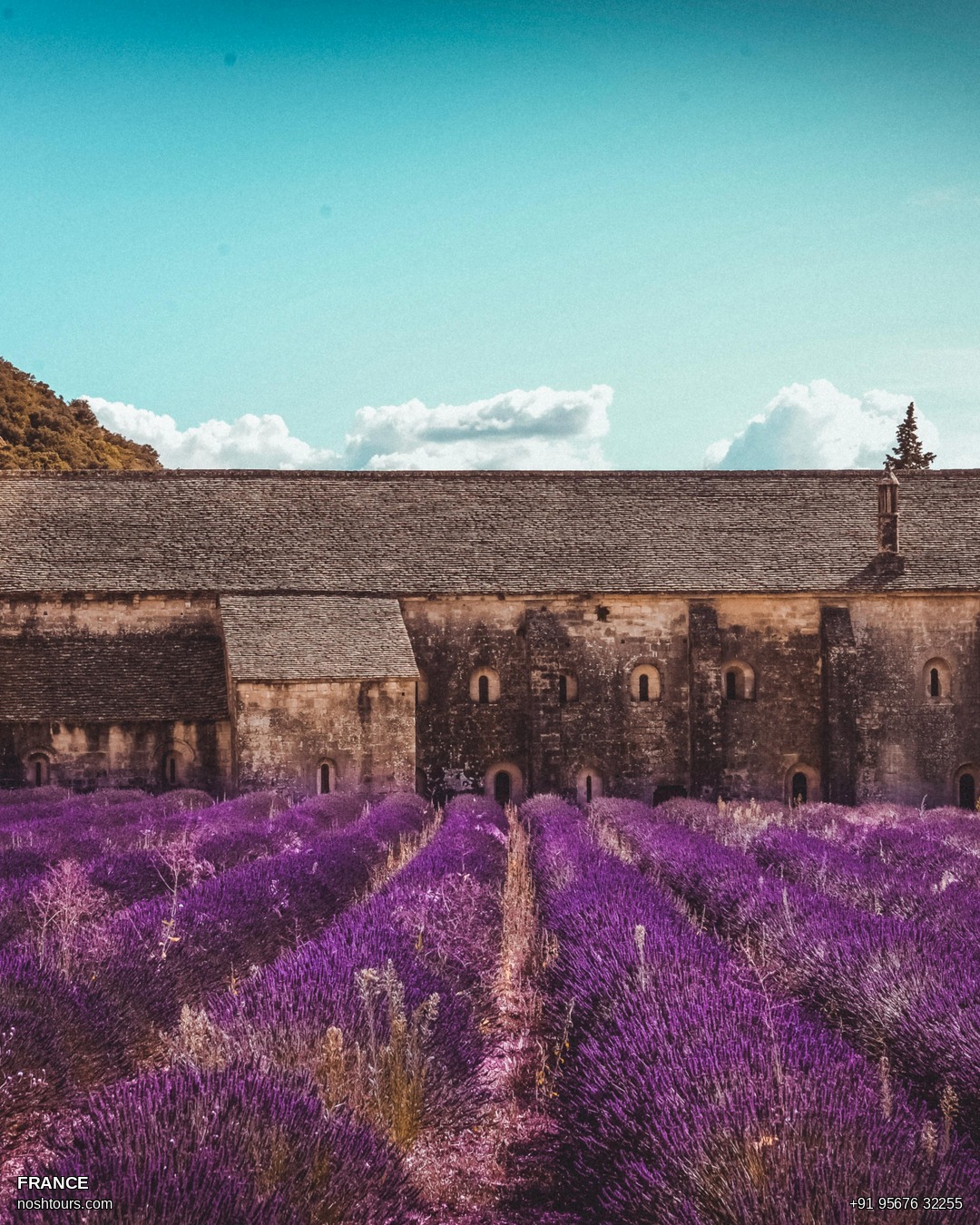 France Beyond Paris: Why Provence in June Is Our Most Requested Canvas