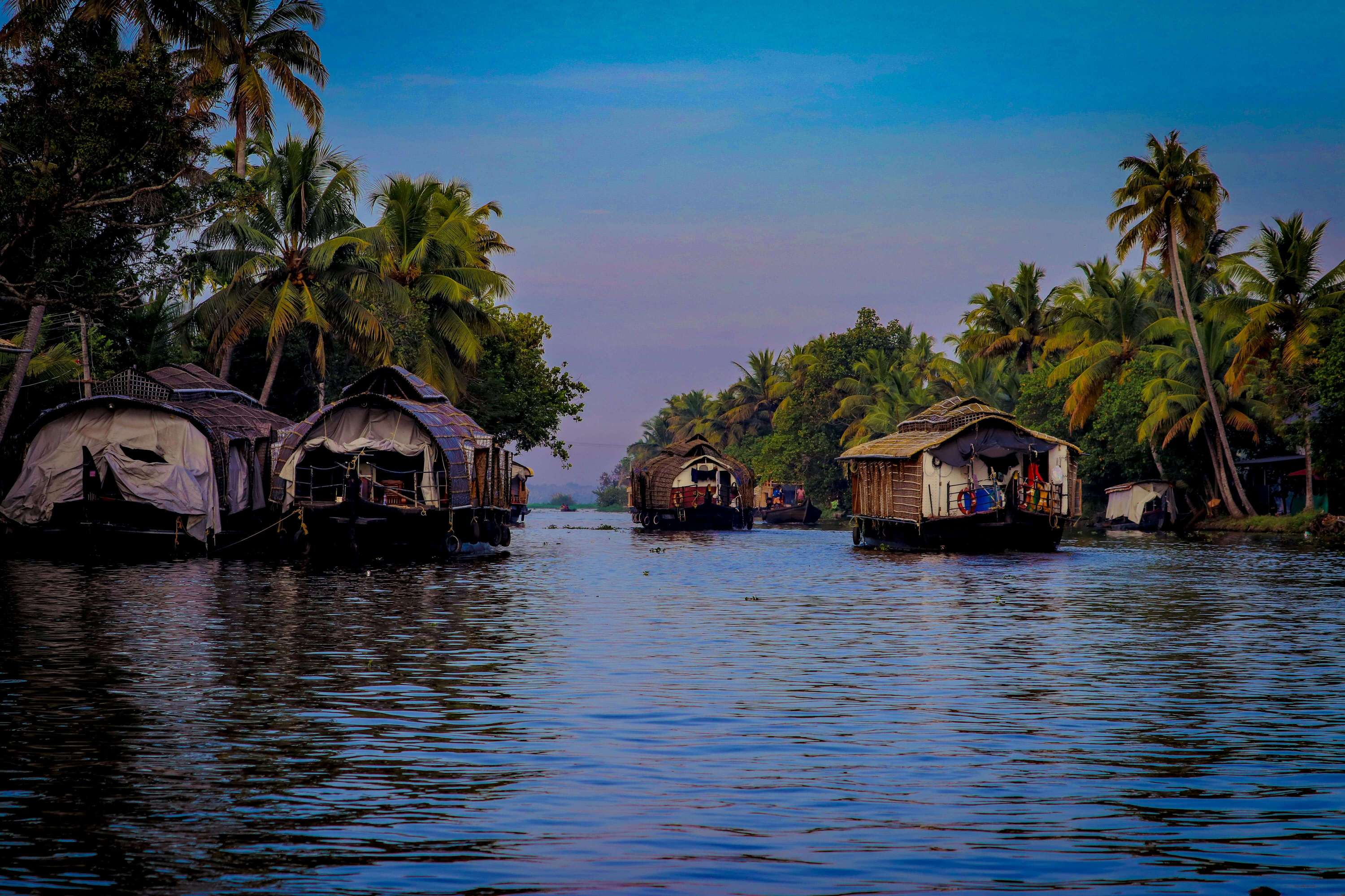 Kerala Ayurveda Retreat for Couples: What No Resort Will Tell You