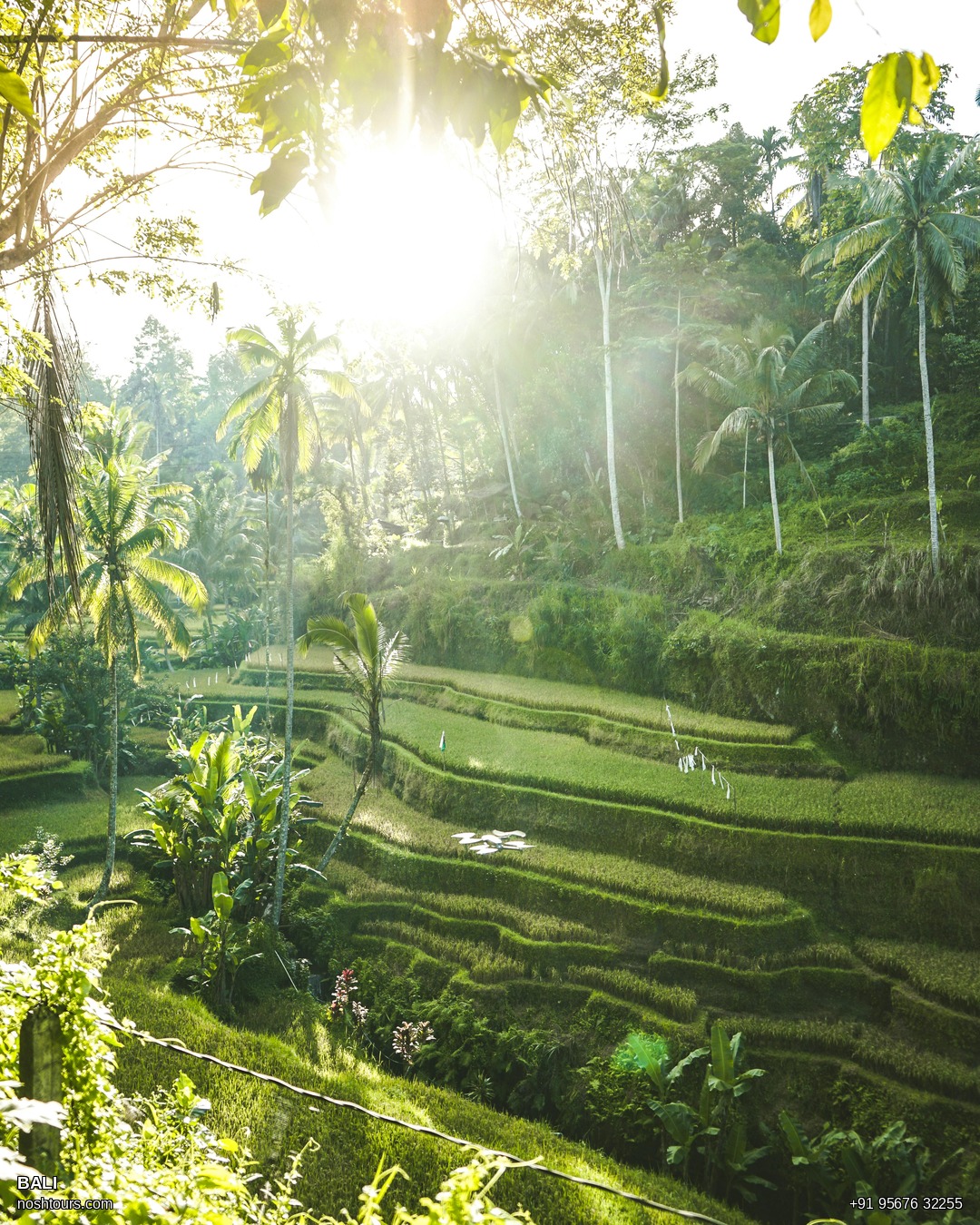 Bali After the Instagram: What Ubud Actually Looks Like in 2026