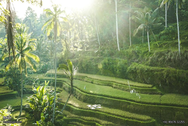 Bali · The Emerald Isle
