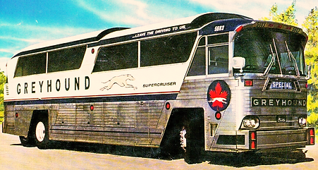 Greyhound Bus History