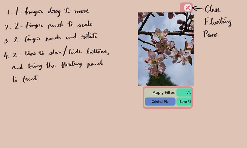 Gestures supported on Floating Image Panes