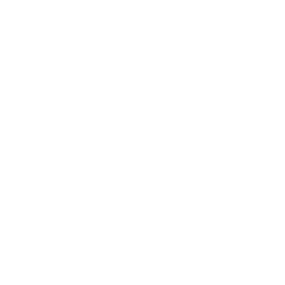 Pro Steel Logo