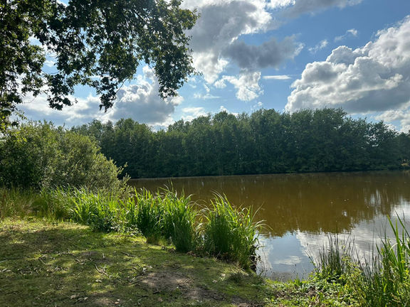 nature tattoo studio