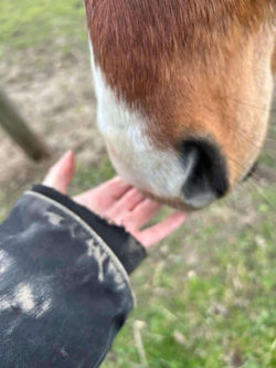 77792555-54f7-410f-84af-ef86d00540ac