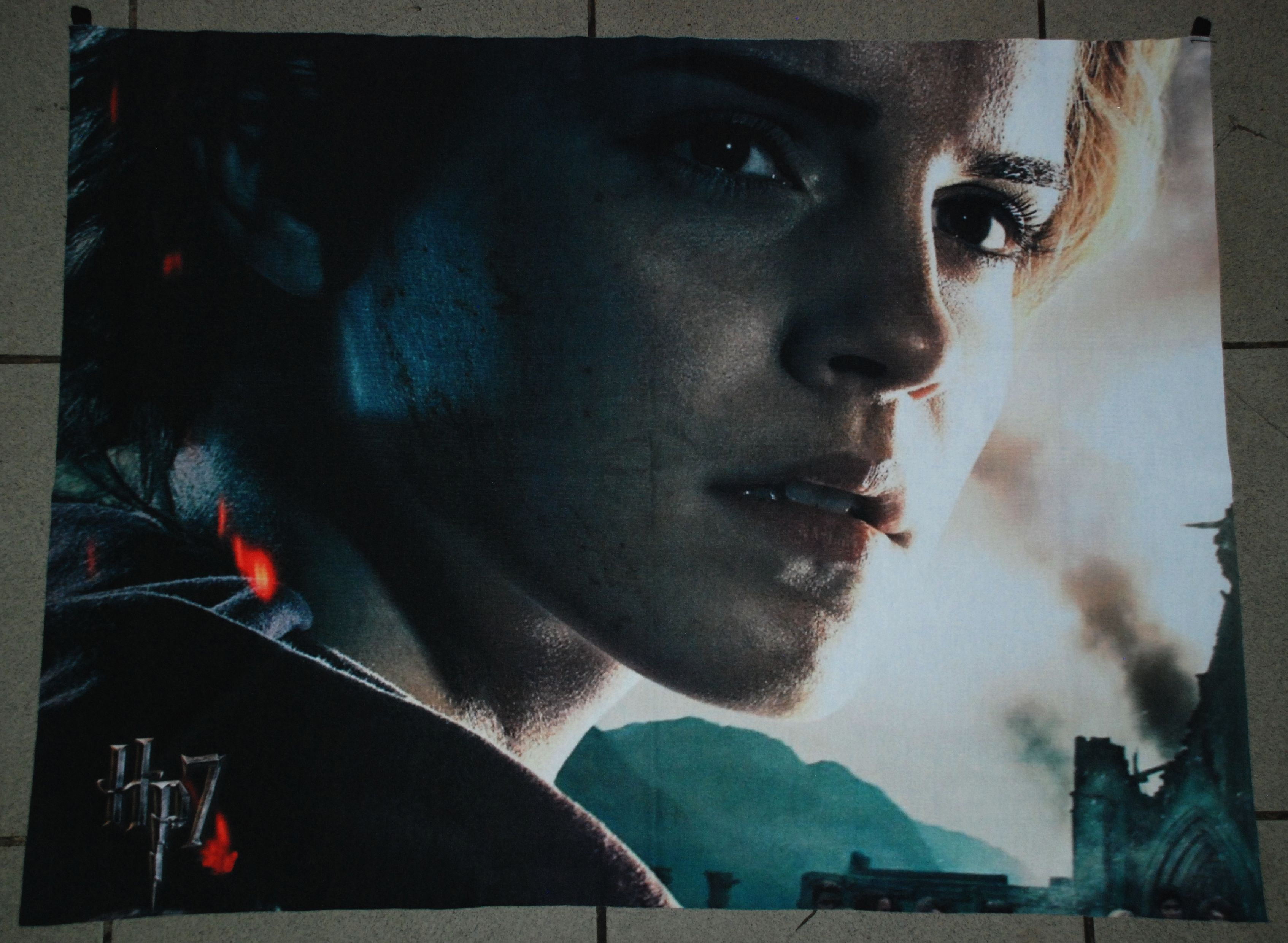 Harry Potter Kumaş Poster Hermione Granger