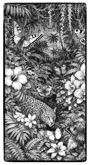 Capture d’écran 2026-01-02 à 19.44.56.png