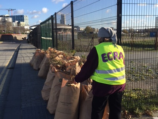 Thames Path Clean Up - 30 bags & counting!