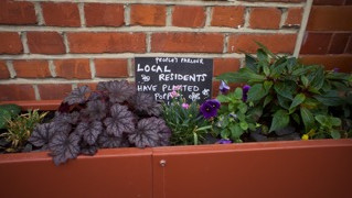 Volunteers needed for gardening and ‘greening’ projects in East Greenwich