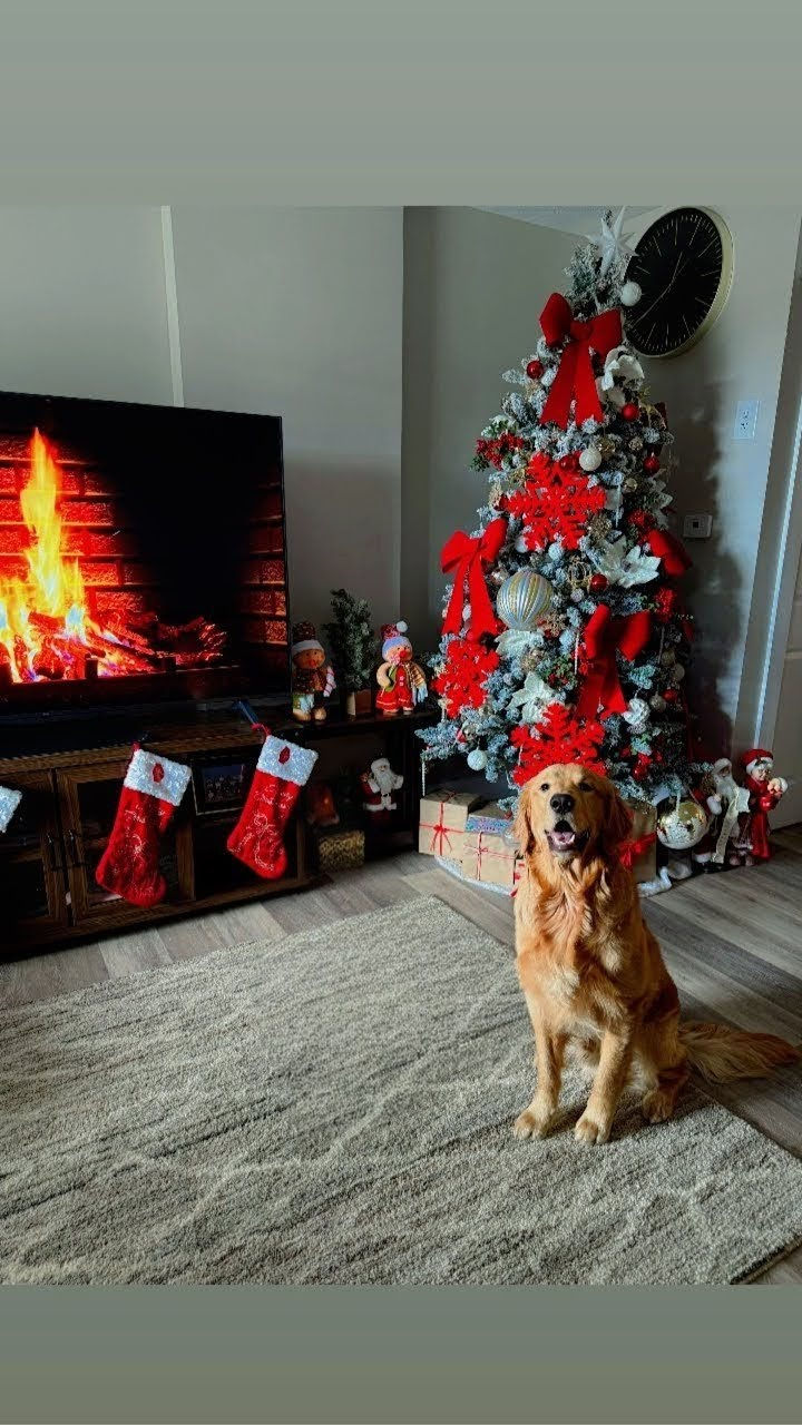 Dec_17_2025_9_59_19~2