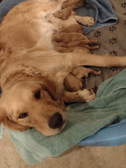 IMG_20251212_184801 (1)