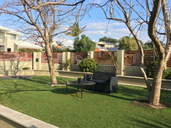 Privacy Screens
