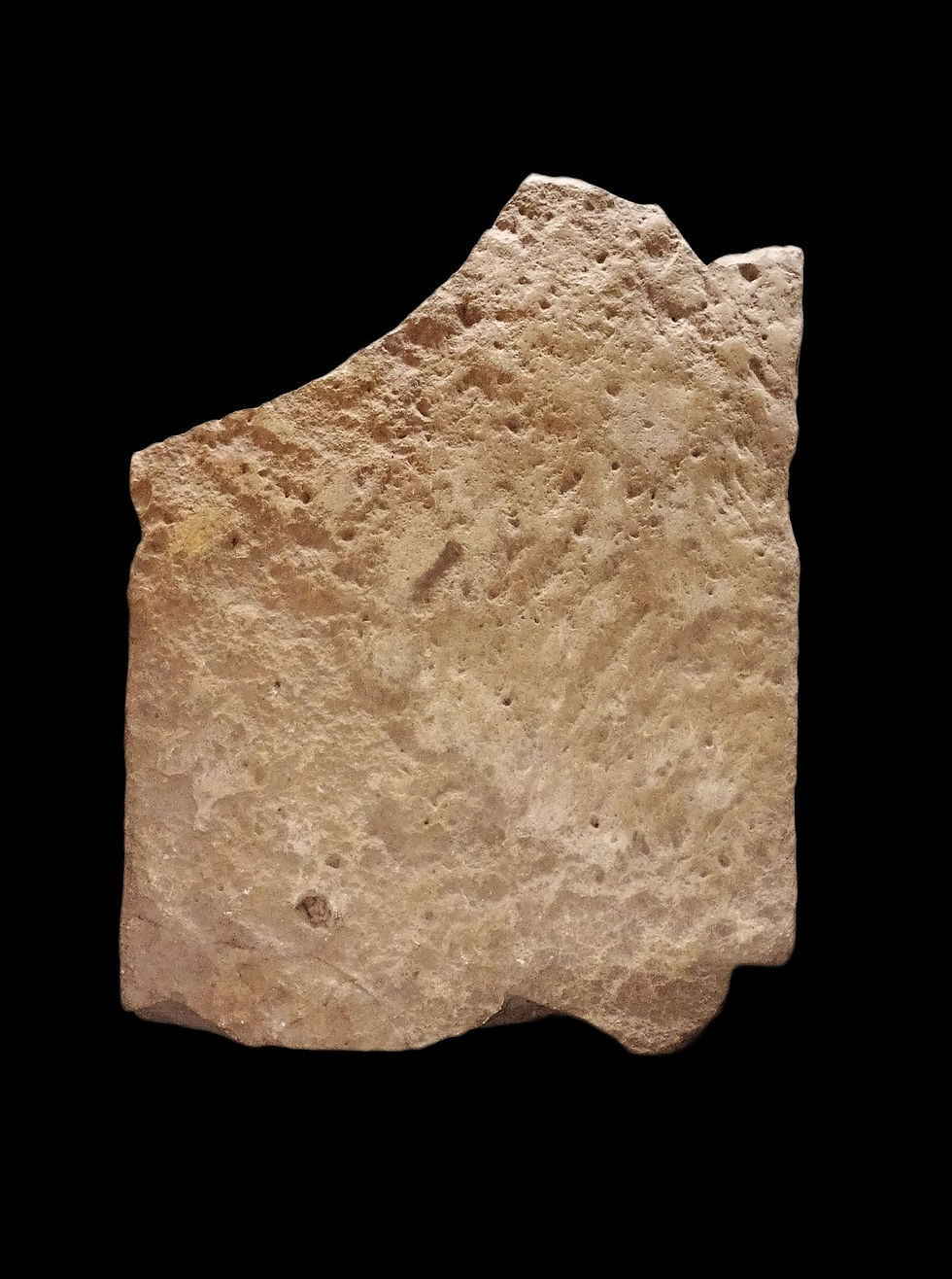 Miniatura: India medievale - Stele scolpita in pietra calcarea - Lakshmi - XII/XIV secolo