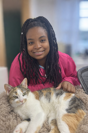 579498ec-04d7-4785-9b9d-8346d1efd8a8 (1).png