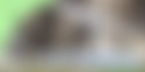 6 Fakta Menarik Starlink Milik Elon Musk yang Resmi Masuk Indonesia