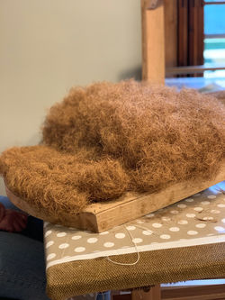Coir Regulation