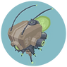 icon.png