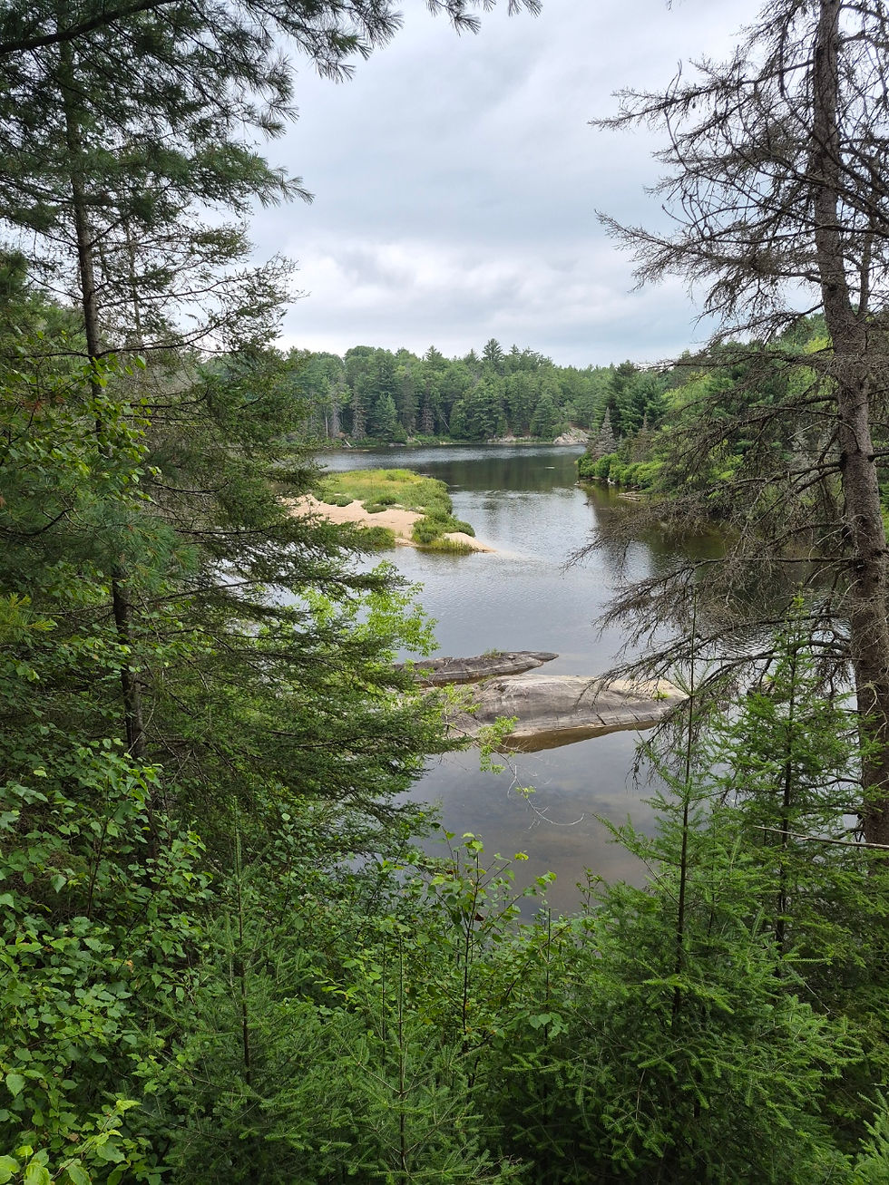 Scenic river surrounded by forest during a Northern Ontario camping trip