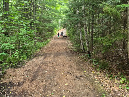 Aurora Outdoors adventure scene in Northern Ontario