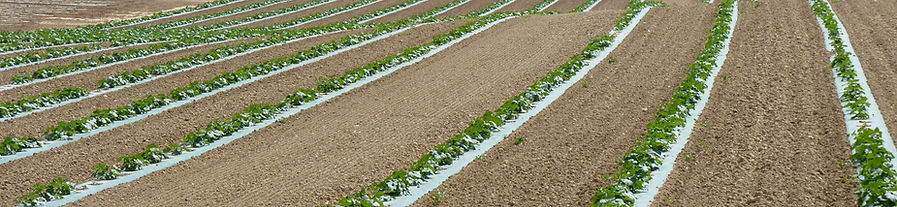 euroagrimat massano enfouisseur
